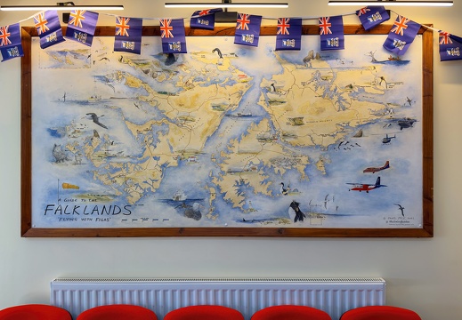 2024 02 West Falkland Carcass Island Bild137 web