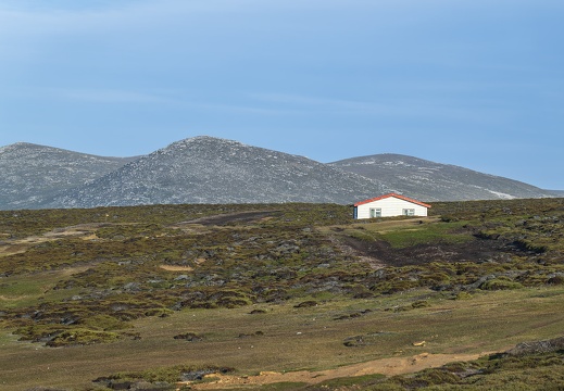 2024 02 West Falkland Sounders Island The Rookery Bild01 web