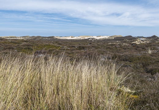 2025 04 Sylt  Lister Wanderdünen Bild01 web
