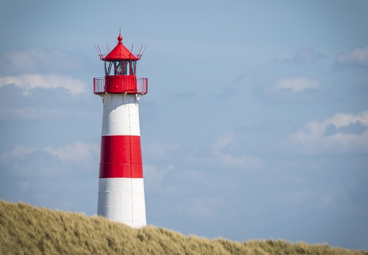 2025 SYLT