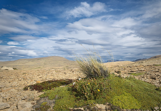 2026 Argentinien Patagonien El Calafate Bild17 web