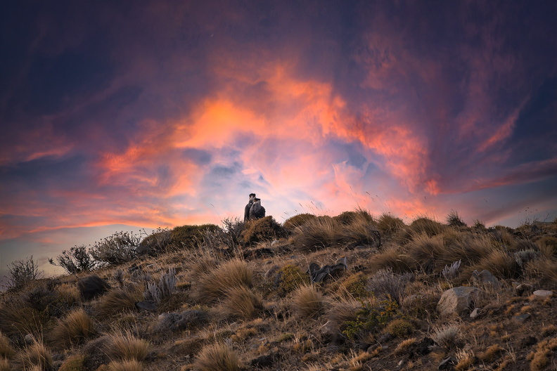 2026_Argentinien_Patagonien_El Calafate_Nationalpark Los Glaciares_Bild04_web.jpg