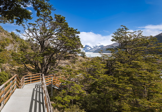2026 Argentinien Patagonien Nationalpark Los Glaciares Hielo&amp;Aventura Bild22 web