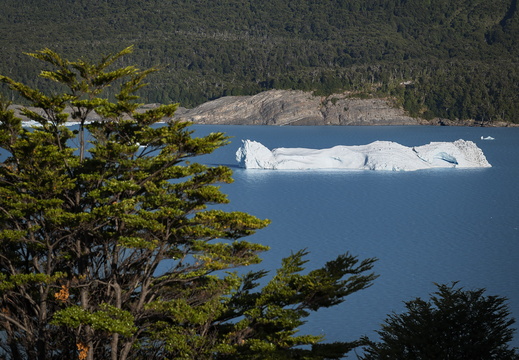 2026 Argentinien Patagonien Nationalpark Los Glaciares Perito-Moreno-Gletscher Bild02 web