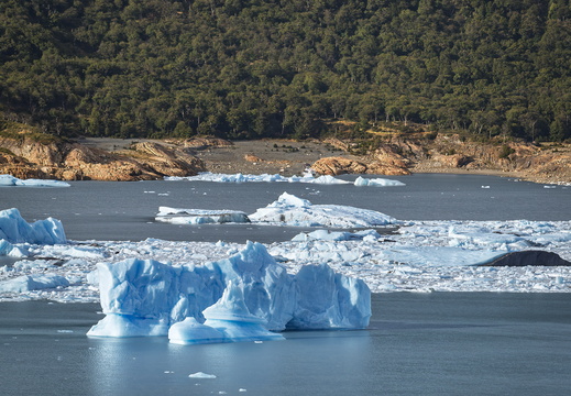 2026 Argentinien Patagonien Perito-Moreno-Gletscher Bild10 web