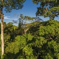 2023 08 Amazonas Alta Floresta Bild26