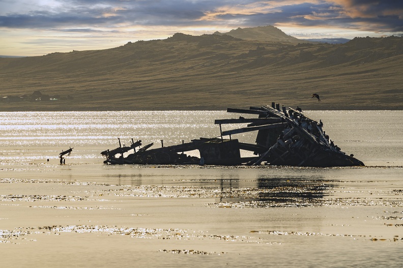 2024_02_Falkland_Stanley_Jhelum Shipwreck_Bild38_web.jpg