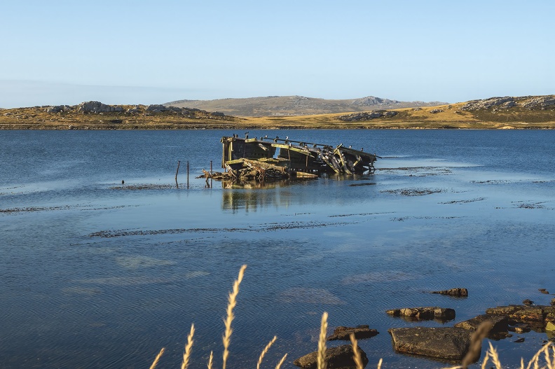 2024_02_Falkland_Stanley_Jhelum Shipwreck_Bild39_web.jpg