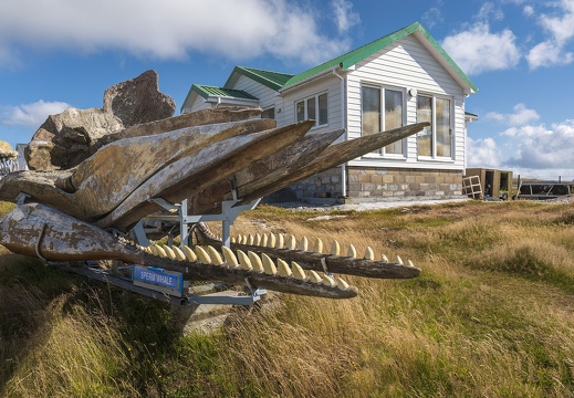 2024 02 Falkland Stanley Whalepoint Display Bild45 web