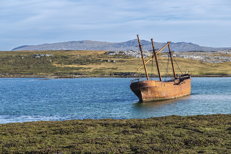 2024_02_Falkland_Stanley_Lady Elizabeth Shipwreck_Bild90_web.jpg