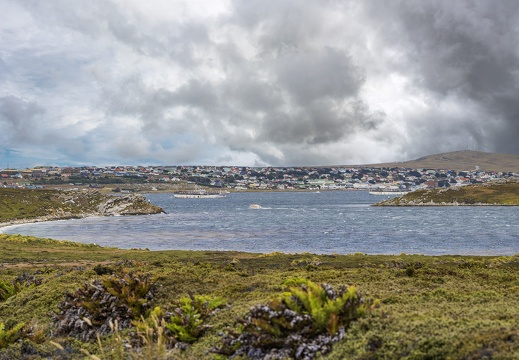 2024 02 Falkland Stanley Port William Bild94 web