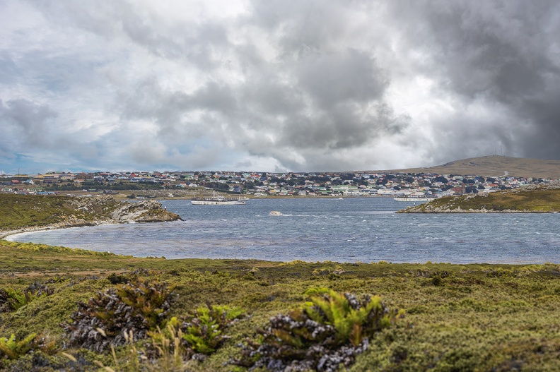 2024_02_Falkland_Stanley_Port William_Bild94_web.jpg