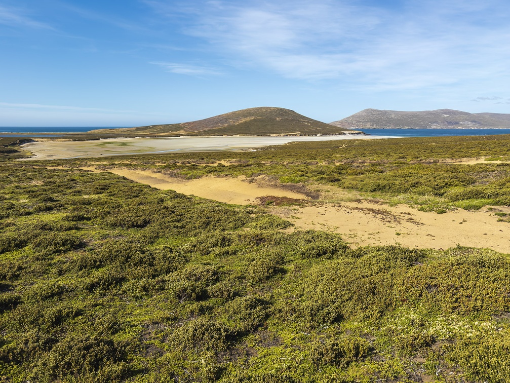 2024 02 West Falkland Sounders Island Bild09 web