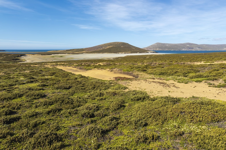 2024_02_West Falkland_Sounders Island_Bild09_web.jpg