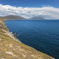 2024 02 West Falkland Sounders Island Bild46 web