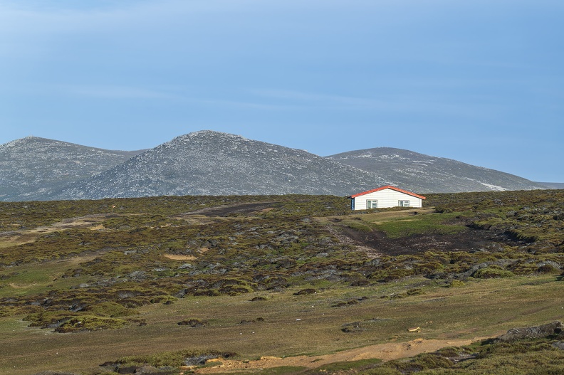 2024_02_West Falkland_Sounders Island_The Rookery_Bild01_web.jpg